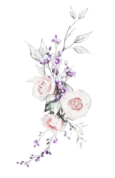 Водоросли Модерн ар нуво