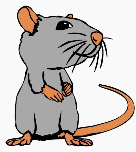 Нарисовать крысу