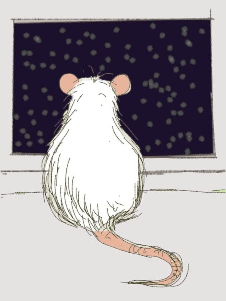 Милые арты крыс