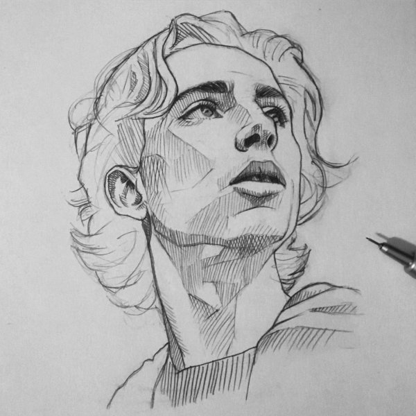 Тимоти Шаламе скетч