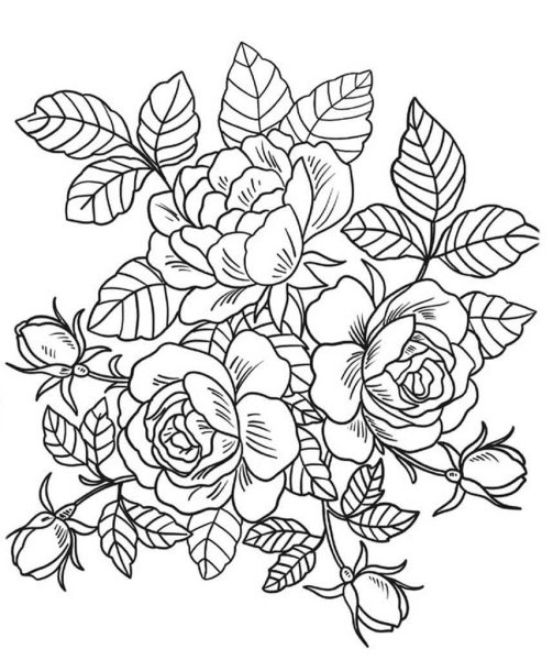 Роза раскраска