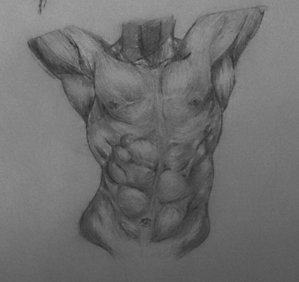 Мужской торс карандашом