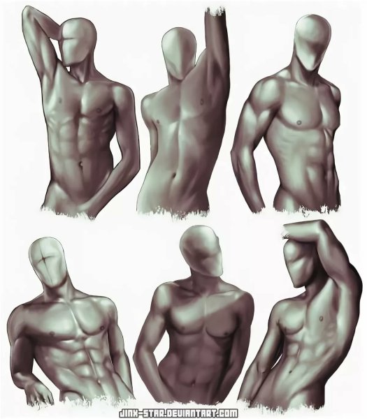 Мужской торс для рисования