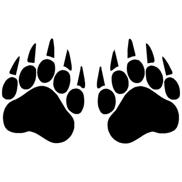 Следы медведя