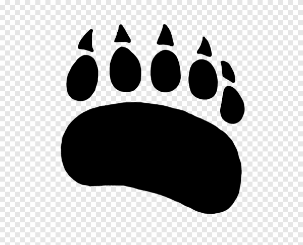 Медвежий след