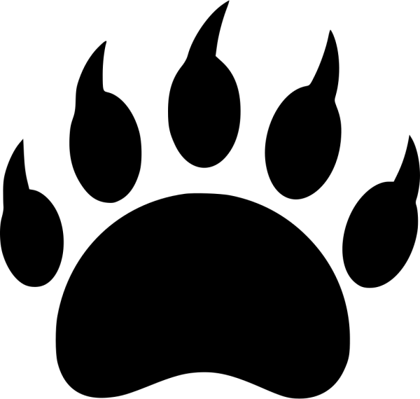 Следы медведя