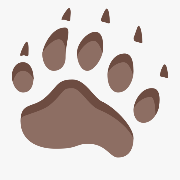 Медвежий след