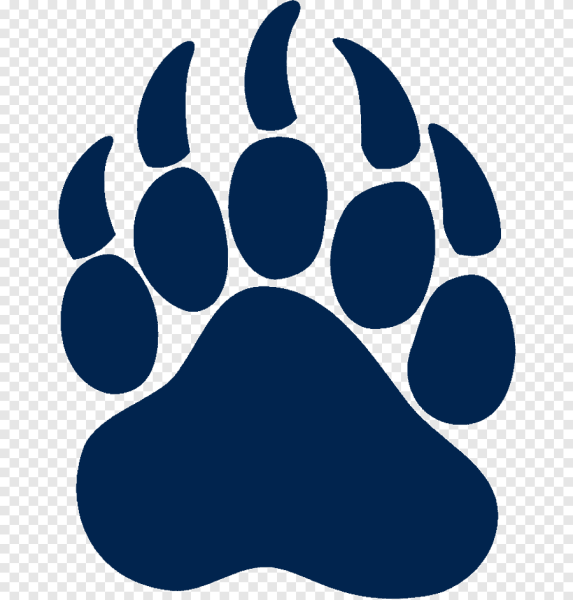 Отпечаток медвежьей лапы