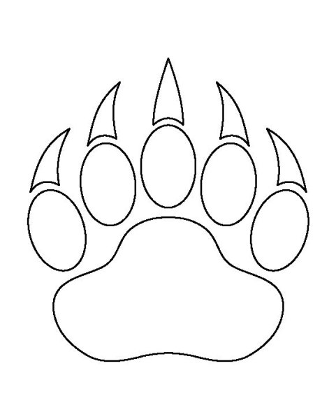 Лапа медведя контур