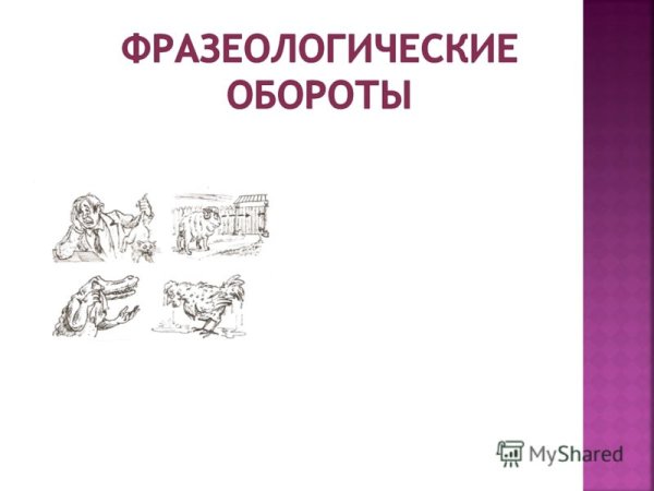 Иллюстрация к фразеологизму