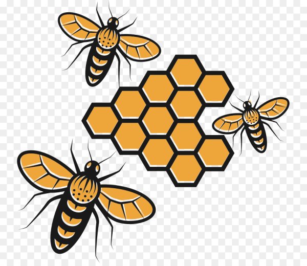 Пчелиные соты Графика