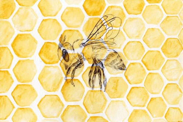 Пчелиный узор