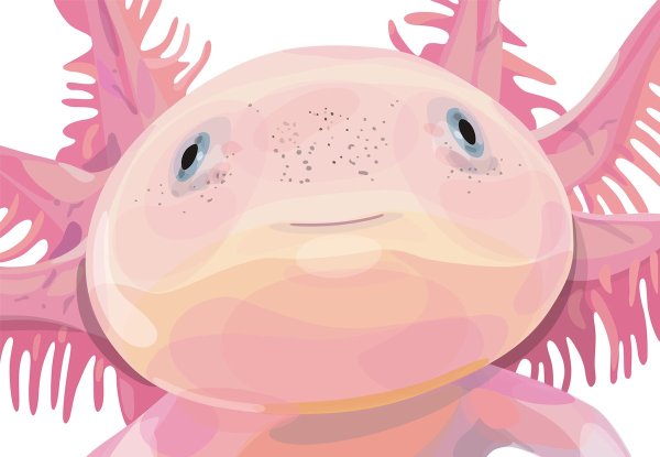 Аксолотль синий