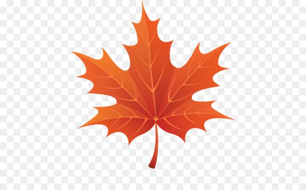 Рисуем кленовый лист