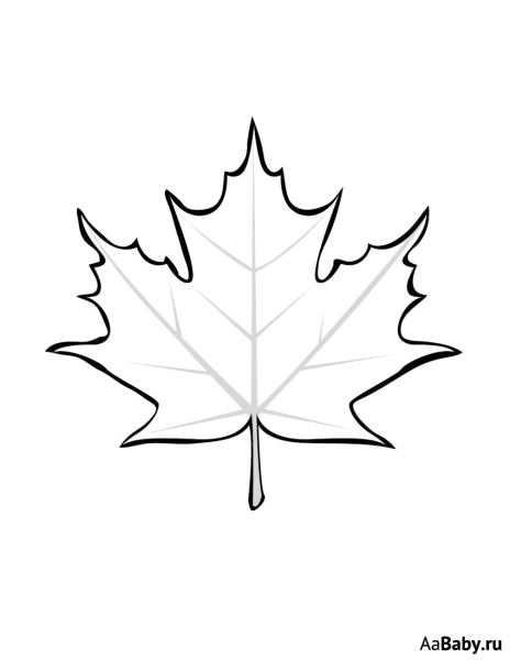 Кленовый лист раскраска