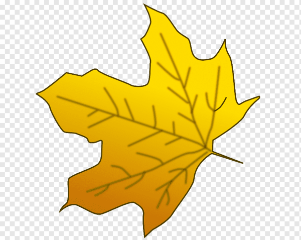 Кленовый лист желтый