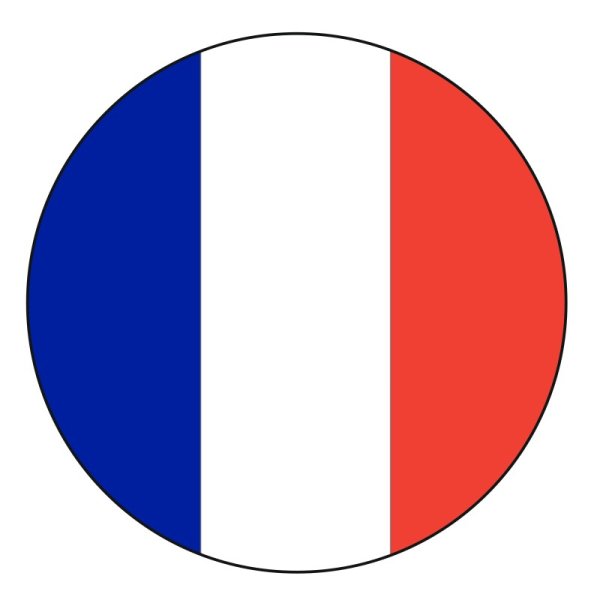 Флаг Франции для детей