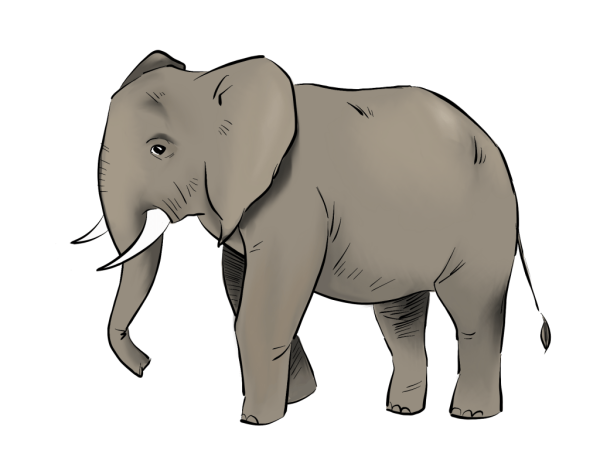 Слон картинка для детей