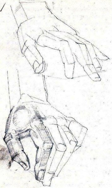 Баммес кисти рук