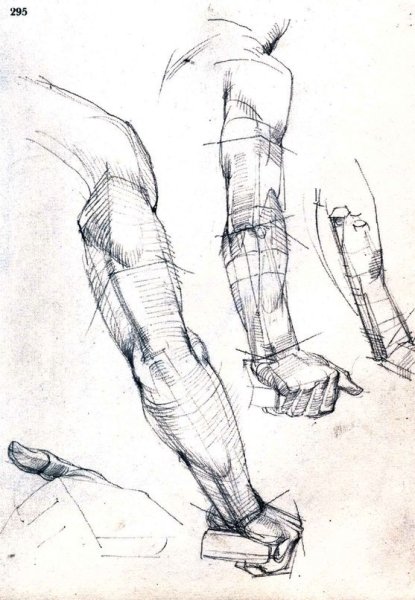 Пластическая анатомия Баммес руки