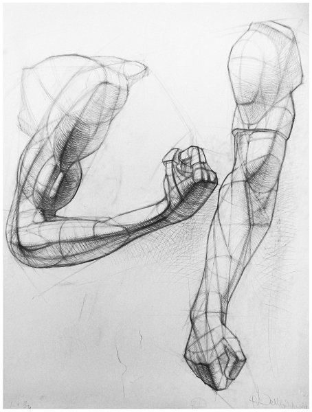 Пластическая анатомия Баммес руки