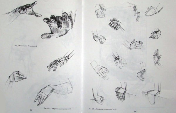 Николай ли кисти рук