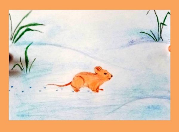 Кораблекрушение мышонка пика