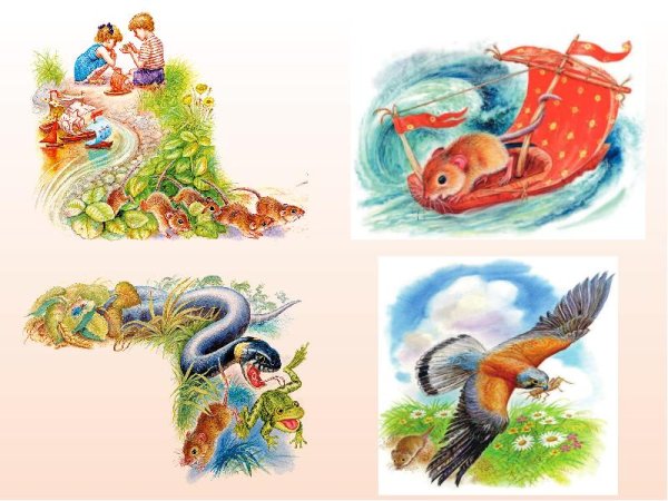 Мышонок пик и птица