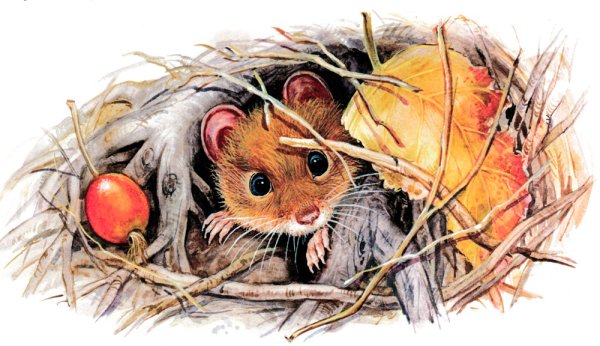 Мышонок пик пик