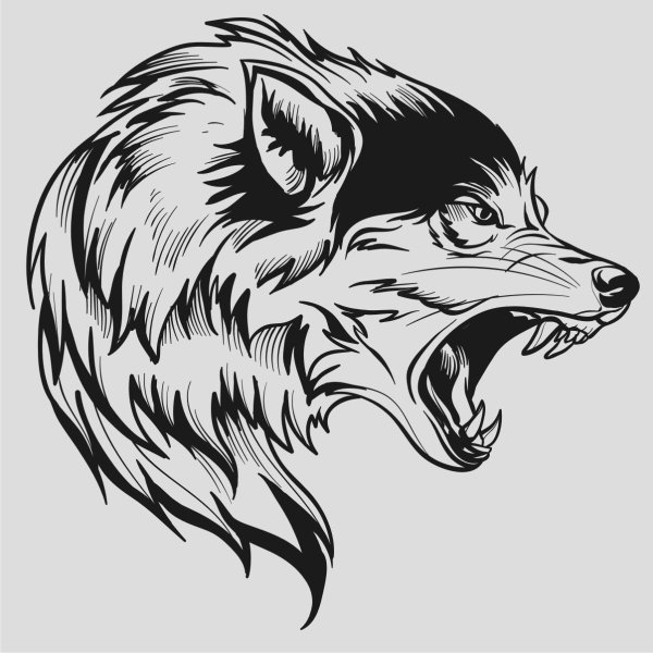 Волк рисунок Графика