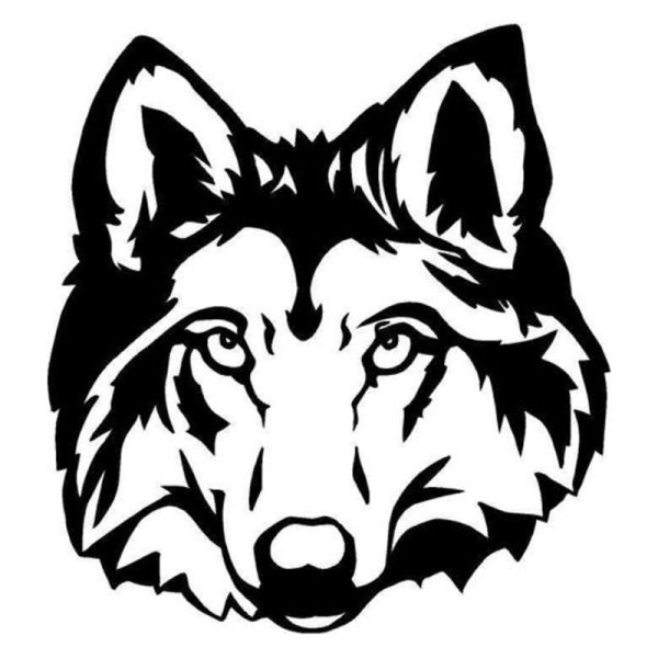 Очертания морды волка