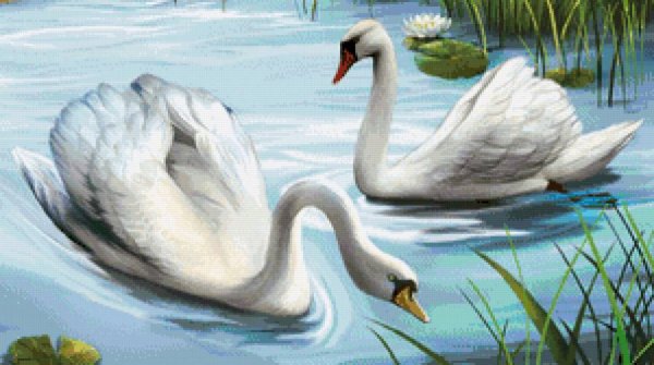 Лебедь раскраска