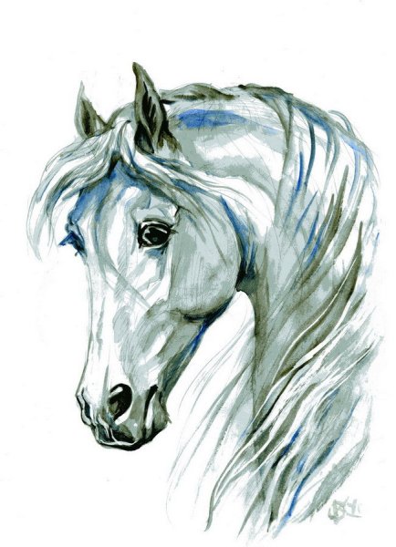 Оксана Кукс