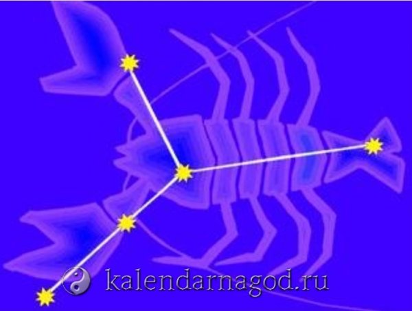 Рак«мое зодиакальное Созвездие»