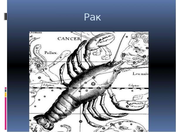 Созвездие рисунок