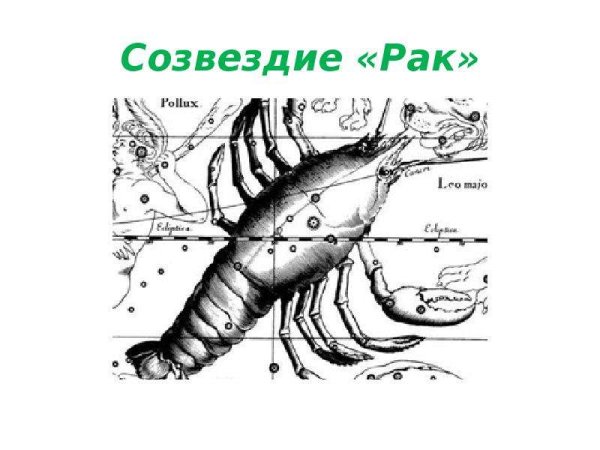 Созвездие raka вектор