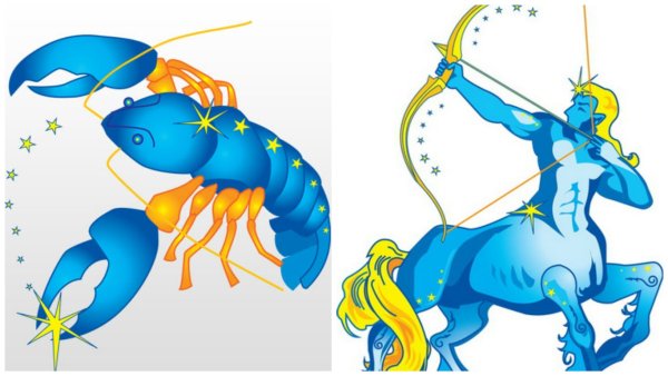 Знаки зодиака звезды контурное изображение