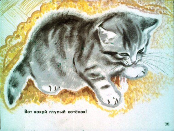 Лебедев художник иллюстратор Усатый-полосатый