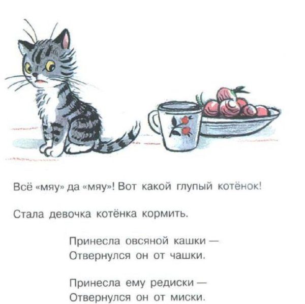 Рисование кошки в средней группе