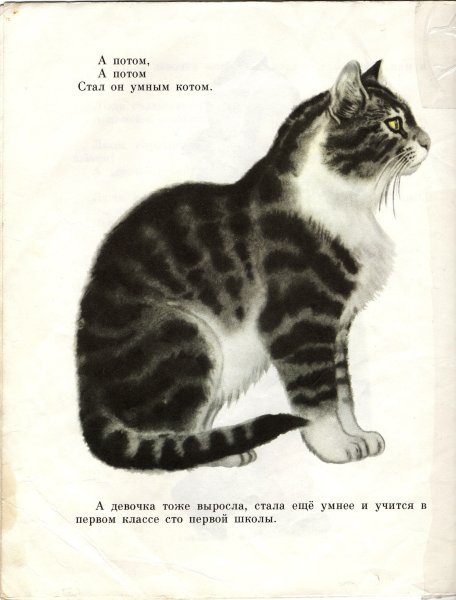 Лебедев Владимир Васильевич иллюстрации