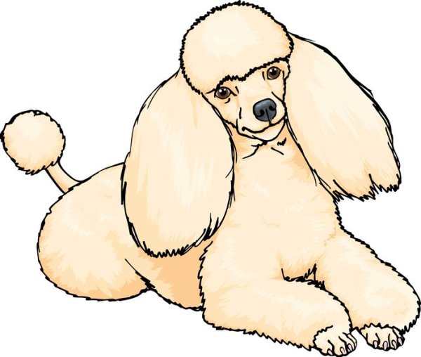 Мультяшные Пудели