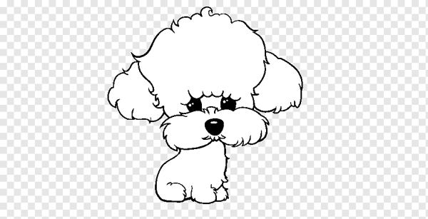 Пудель рисунок для детей