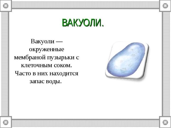 Мембрана вакуоли