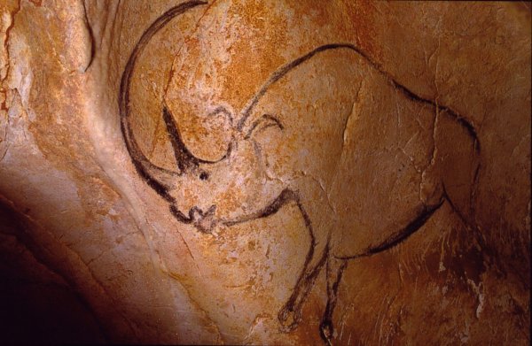 Пещера Шове Наскальная живопись
