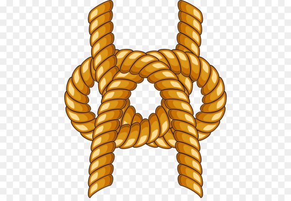 Векторный канат