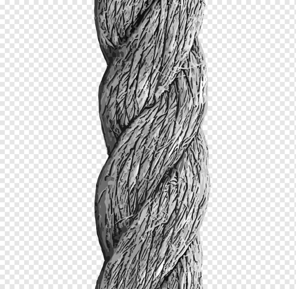 Текстура веревки