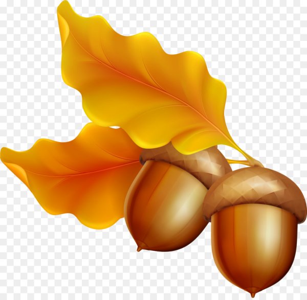 Осенние листья и желуди