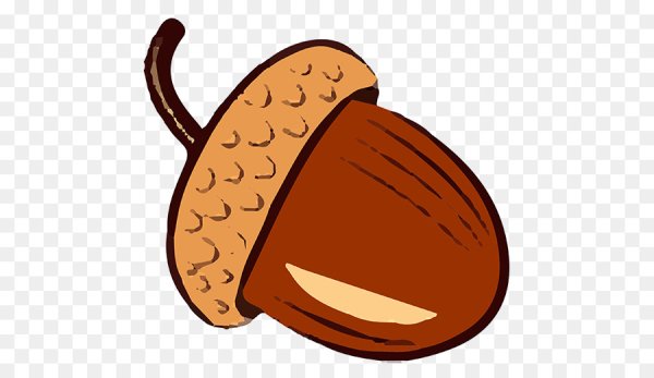 Желуди мультяшные