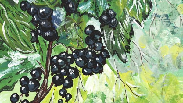 Черная смородина в живописи