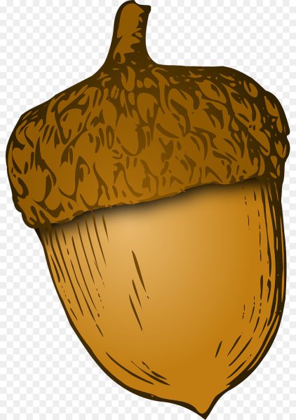 Желудь вектор